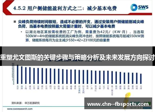重塑尤文图斯的关键步骤与策略分析及未来发展方向探讨 重塑尤文图斯的关键步骤与策略分析及未来发展方向探讨